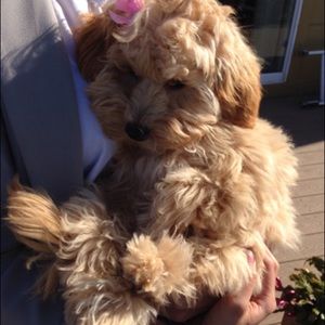 Meet your Posher, Edwin